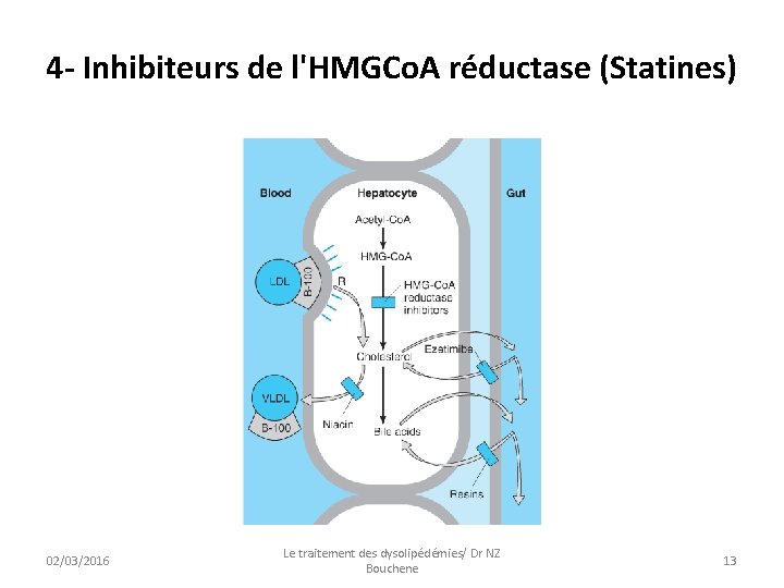 4 - Inhibiteurs de l'HMGCo. A réductase (Statines) 02/03/2016 Le traitement des dysolipédémies/ Dr