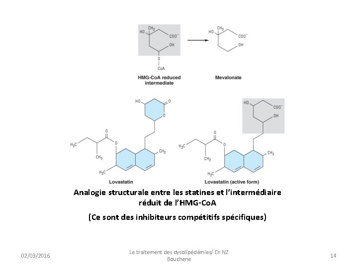 Analogie structurale entre les statines et l’intermédiaire réduit de l’HMG-Co. A (Ce sont des