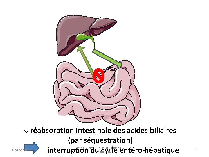 ⇓ réabsorption intestinale des acides biliaires (par séquestration) Le traitement des dysolipédémies/ Dr NZ