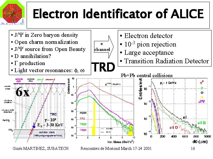 Electron Identificator of ALICE • J/Y in Zero baryon density • Open charm normalization
