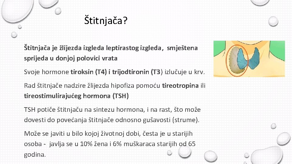 Štitnjača? Štitnjača je žlijezda izgleda leptirastog izgleda, smještena sprijeda u donjoj polovici vrata Svoje