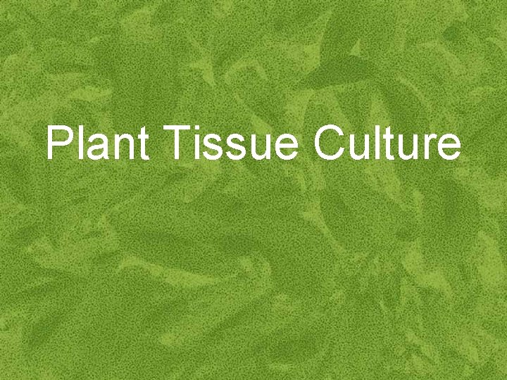 Plant Tissue Culture 