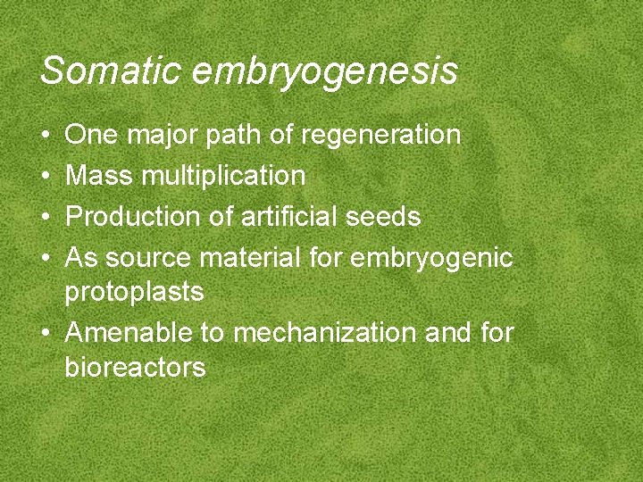 Somatic embryogenesis • • One major path of regeneration Mass multiplication Production of artificial