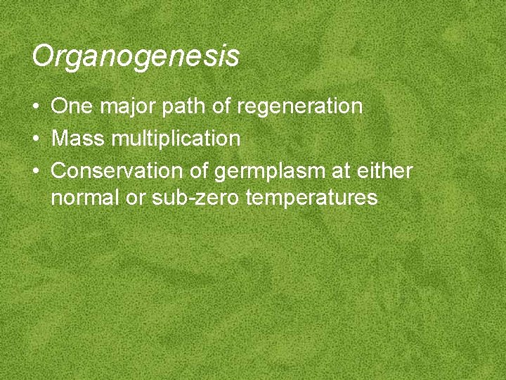 Organogenesis • One major path of regeneration • Mass multiplication • Conservation of germplasm