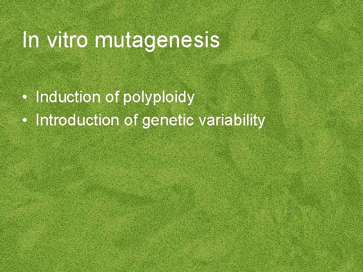 In vitro mutagenesis • Induction of polyploidy • Introduction of genetic variability 