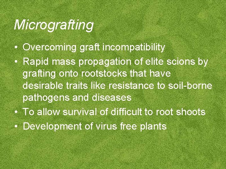 Micrografting • Overcoming graft incompatibility • Rapid mass propagation of elite scions by grafting