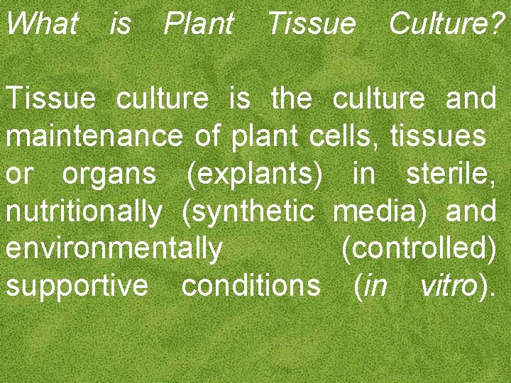 What is Plant Tissue Culture? Tissue culture is the culture and maintenance of plant