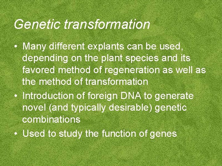 Genetic transformation • Many different explants can be used, depending on the plant species