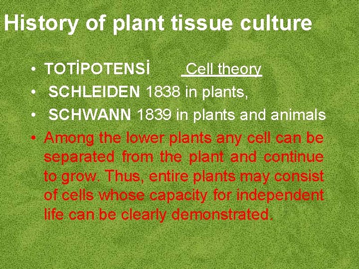 History of plant tissue culture • • TOTİPOTENSİ Cell theory SCHLEIDEN 1838 in plants,