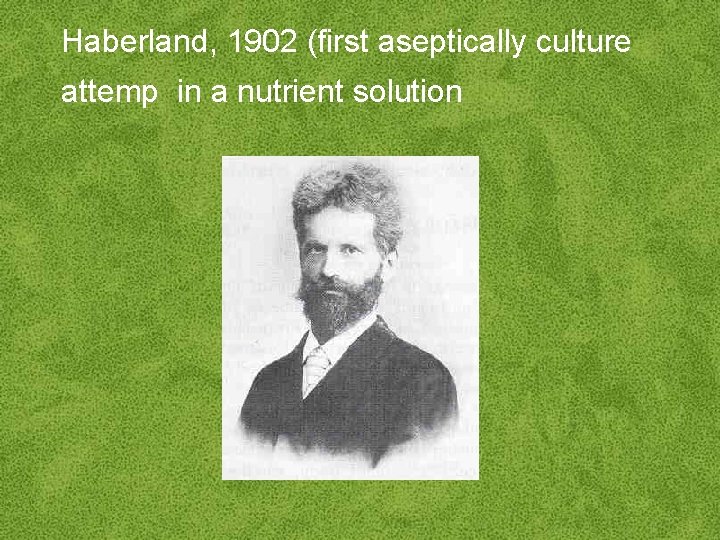 Haberland, 1902 (first aseptically culture attemp in a nutrient solution 
