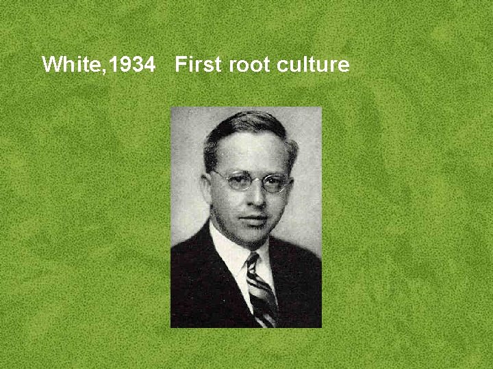 White, 1934 First root culture 