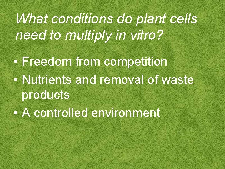 What conditions do plant cells need to multiply in vitro? • Freedom from competition