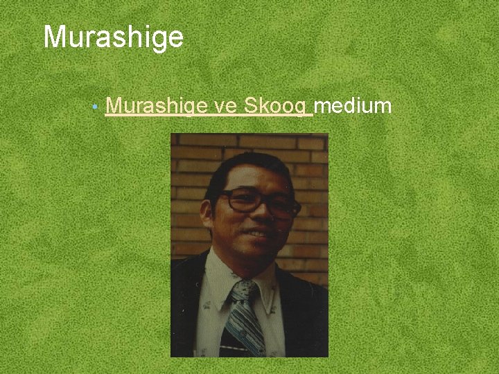 Murashige • Murashige ve Skoog medium 