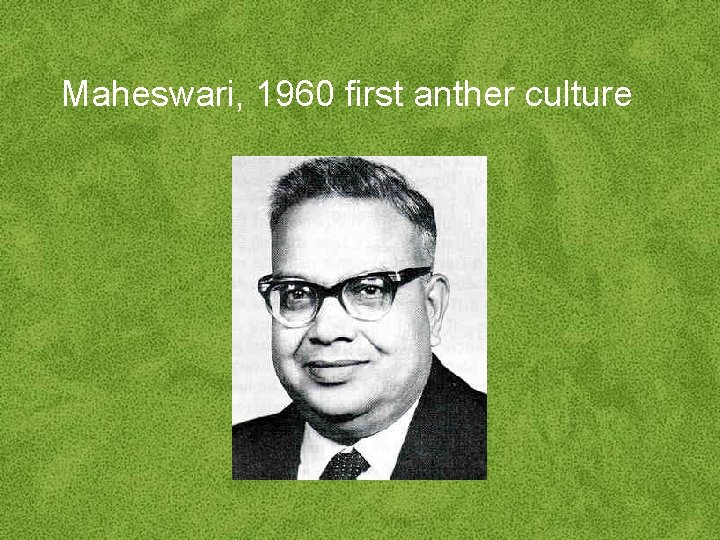 Maheswari, 1960 first anther culture 