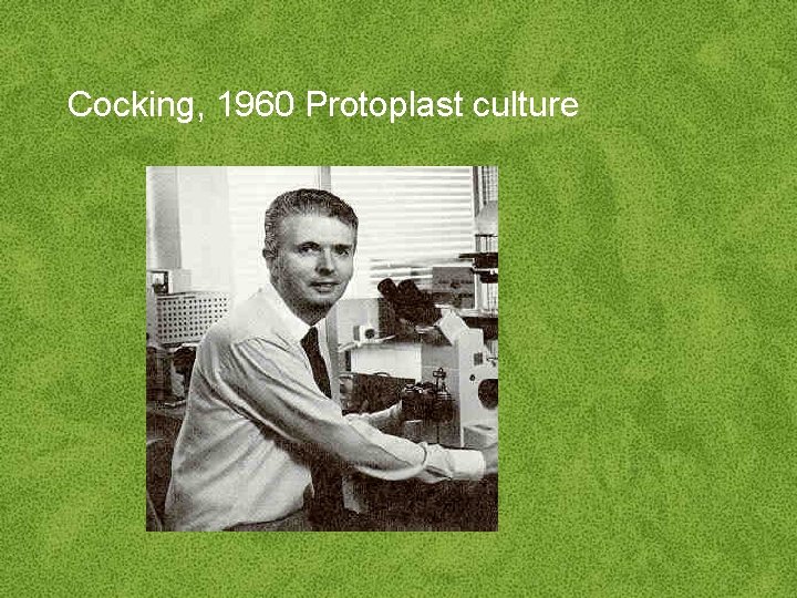 Cocking, 1960 Protoplast culture • 