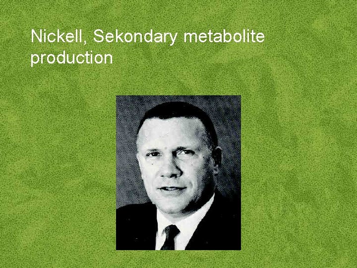 Nickell, Sekondary metabolite production 