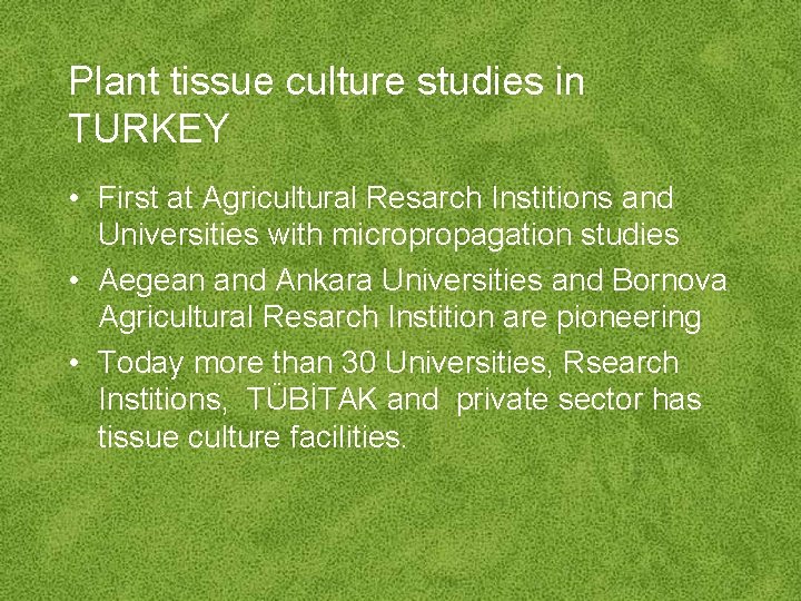 Plant tissue culture studies in TURKEY • First at Agricultural Resarch Institions and Universities