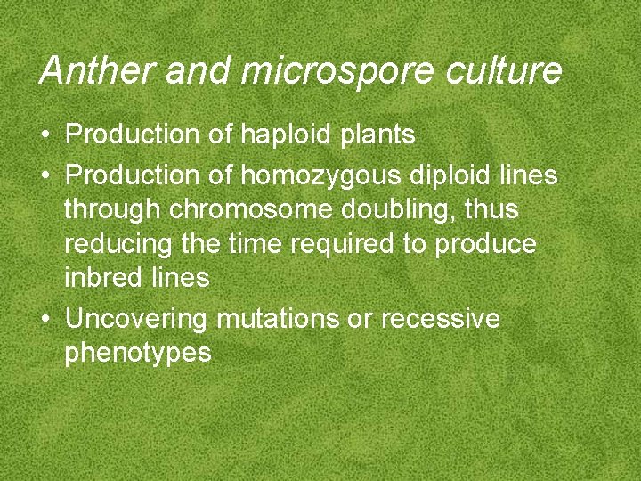 Anther and microspore culture • Production of haploid plants • Production of homozygous diploid