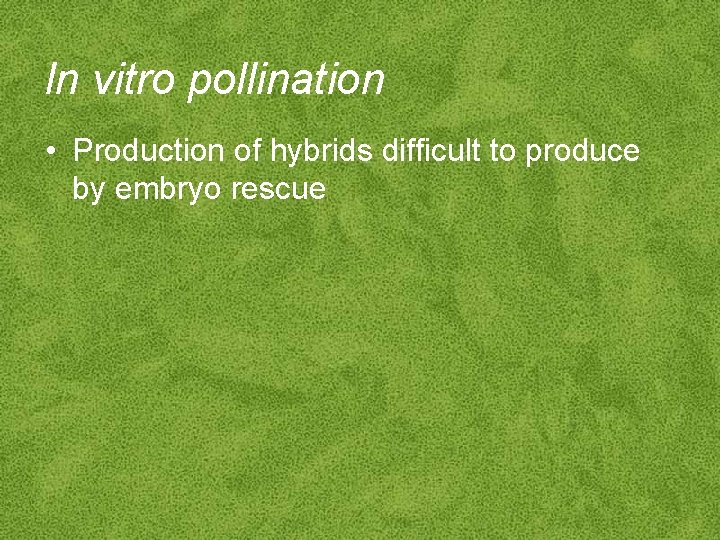 In vitro pollination • Production of hybrids difficult to produce by embryo rescue 