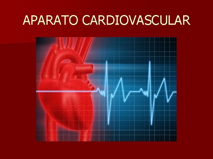 APARATO CARDIOVASCULAR 