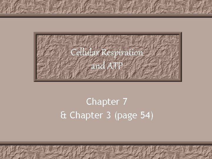 Cellular Respiration and ATP Chapter 7 & Chapter 3 (page 54) 
