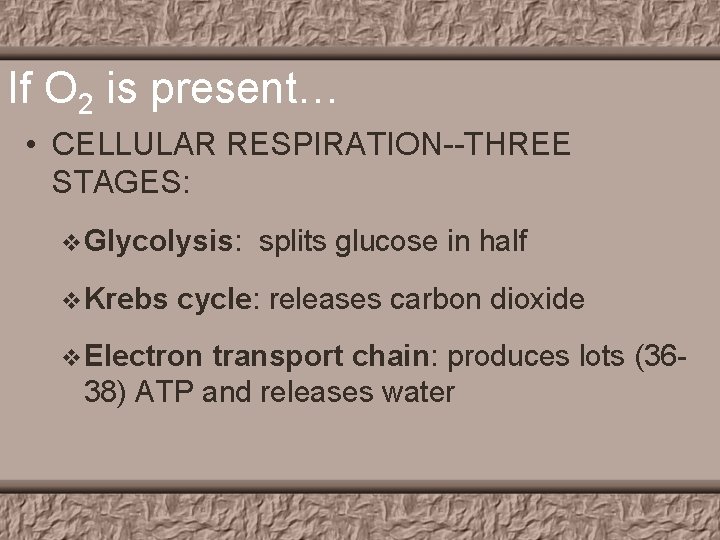 If O 2 is present… • CELLULAR RESPIRATION--THREE STAGES: v Glycolysis: v Krebs splits