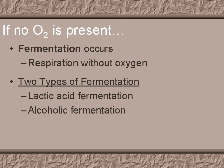 If no O 2 is present… • Fermentation occurs – Respiration without oxygen •