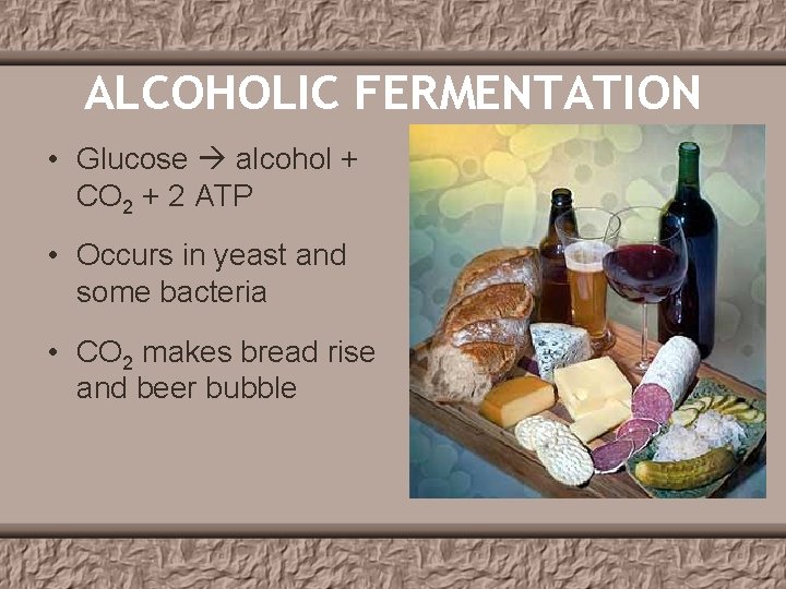ALCOHOLIC FERMENTATION • Glucose alcohol + CO 2 + 2 ATP • Occurs in