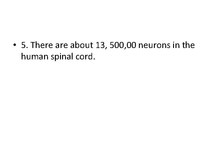  • 5. There about 13, 500, 00 neurons in the human spinal cord.