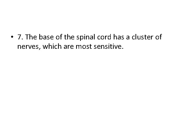  • 7. The base of the spinal cord has a cluster of nerves,