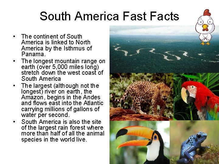 South America Fast Facts • The continent of South America is linked to North