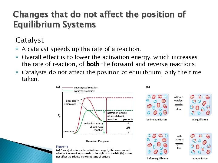 Changes that do not affect the position of Equilibrium Systems Catalyst A catalyst speeds Changes that do not affect the position of Equilibrium Systems Catalyst A catalyst speeds