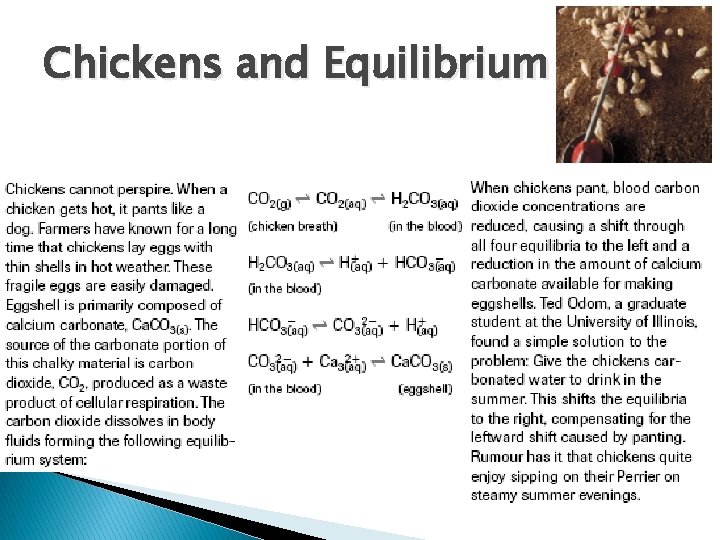 Chickens and Equilibrium Chickens and Equilibrium
