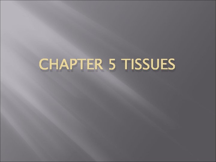 CHAPTER 5 TISSUES 