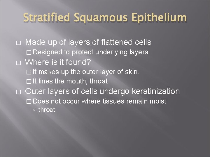 Stratified Squamous Epithelium � Made up of layers of flattened cells � Designed �