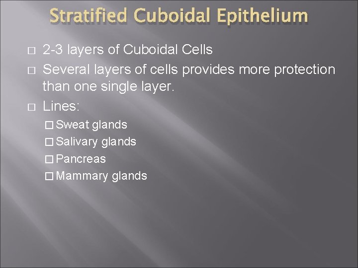 Stratified Cuboidal Epithelium � � � 2 -3 layers of Cuboidal Cells Several layers