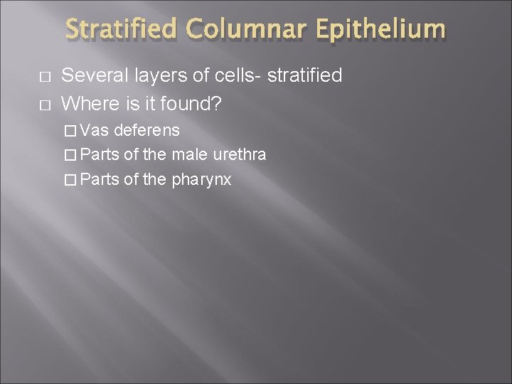 Stratified Columnar Epithelium � � Several layers of cells- stratified Where is it found?