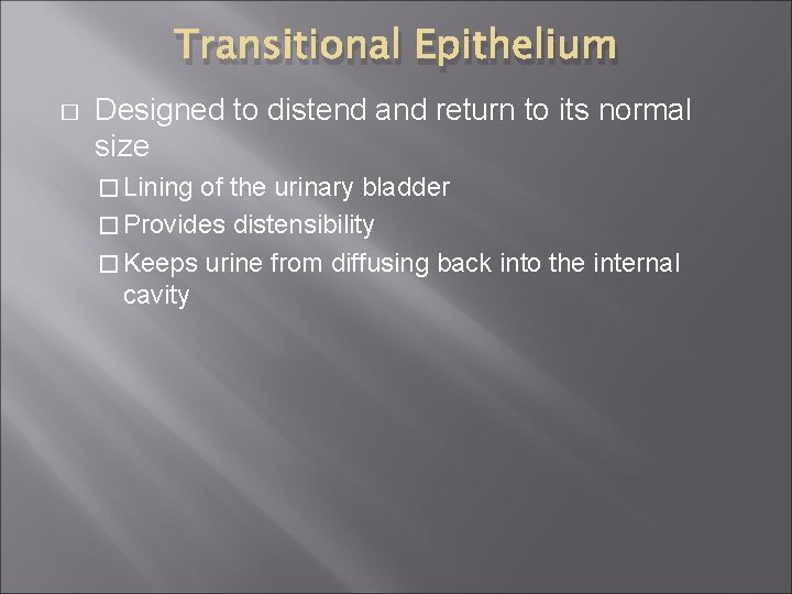 Transitional Epithelium � Designed to distend and return to its normal size � Lining