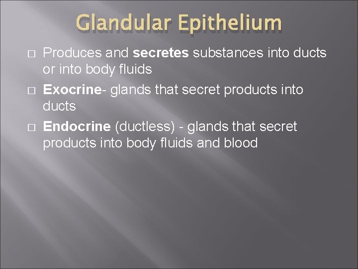 Glandular Epithelium � � � Produces and secretes substances into ducts or into body