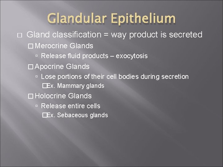 Glandular Epithelium � Gland classification = way product is secreted � Merocrine Glands Release