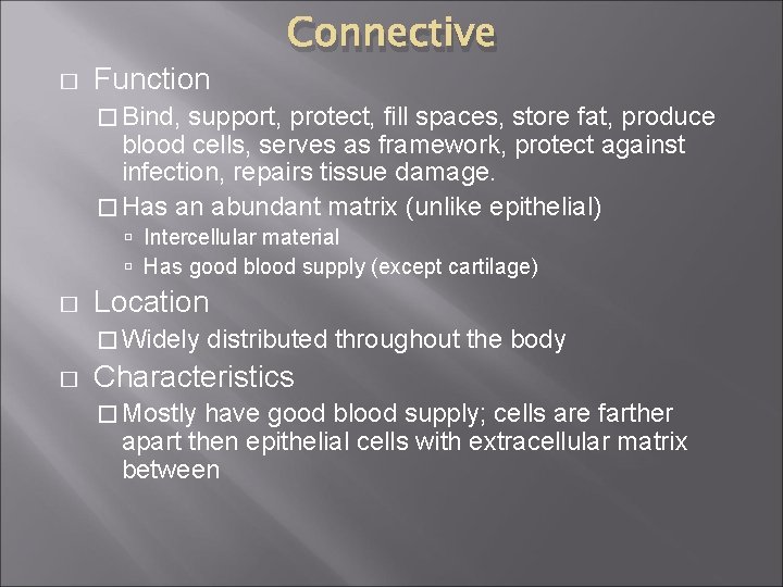 � Function Connective � Bind, support, protect, fill spaces, store fat, produce blood cells,