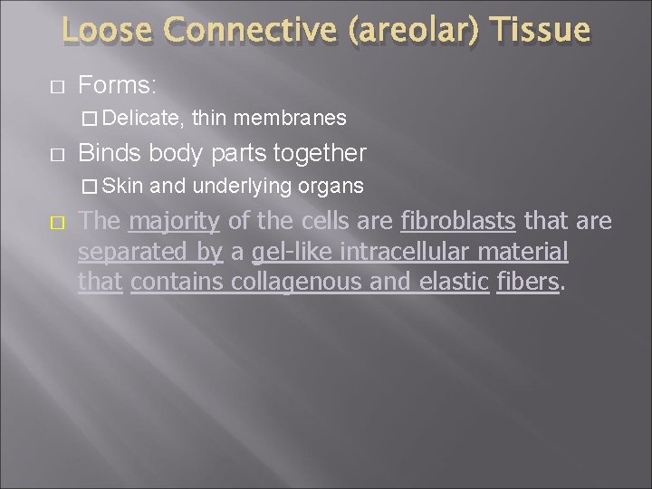 Loose Connective (areolar) Tissue � Forms: � Delicate, � Binds body parts together �