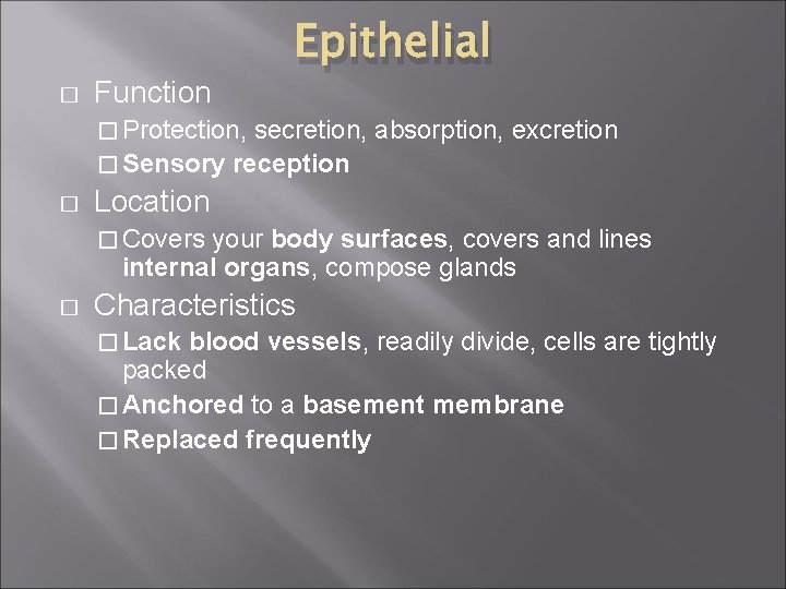 � Function Epithelial � Protection, secretion, absorption, excretion � Sensory reception � Location �