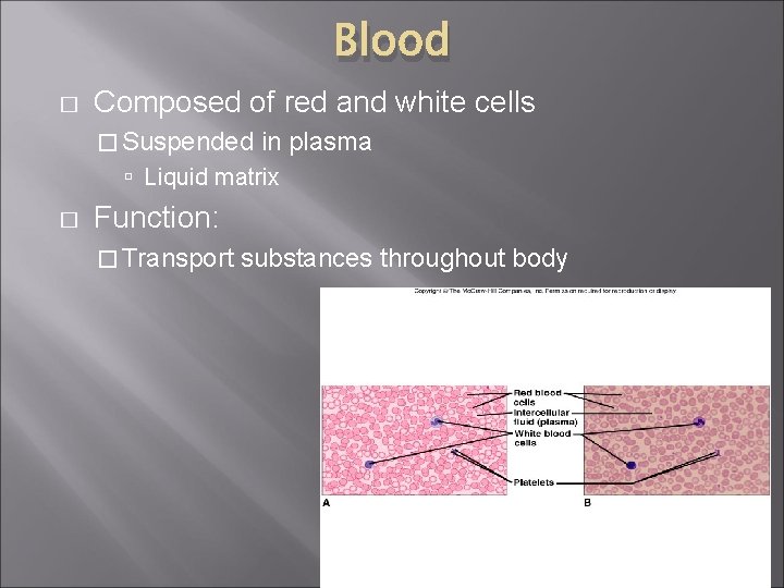 Blood � Composed of red and white cells � Suspended in plasma Liquid matrix