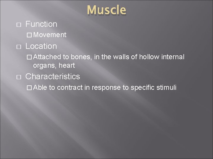 � Function Muscle � Movement � Location � Attached to bones, in the walls