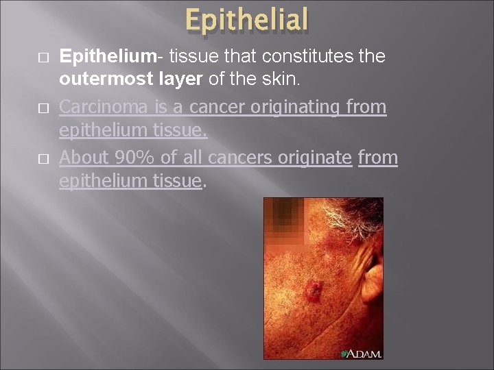 Epithelial � � � Epithelium- tissue that constitutes the outermost layer of the skin.