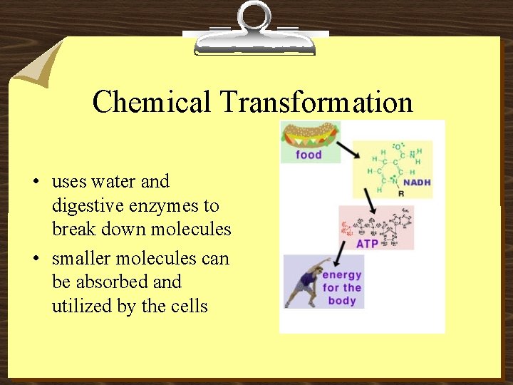 Chemical Transformation • uses water and digestive enzymes to break down molecules • smaller