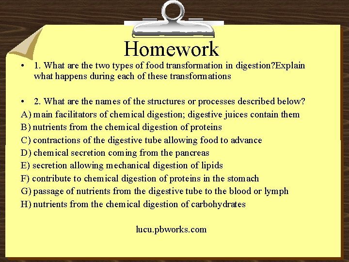 Homework • 1. What are the two types of food transformation in digestion? Explain
