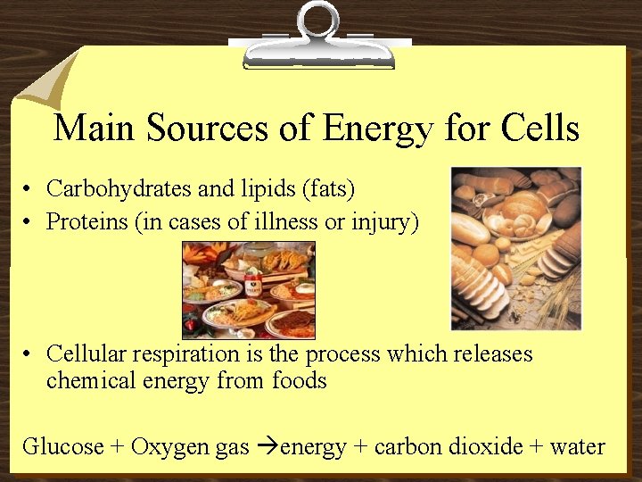 Main Sources of Energy for Cells • Carbohydrates and lipids (fats) • Proteins (in