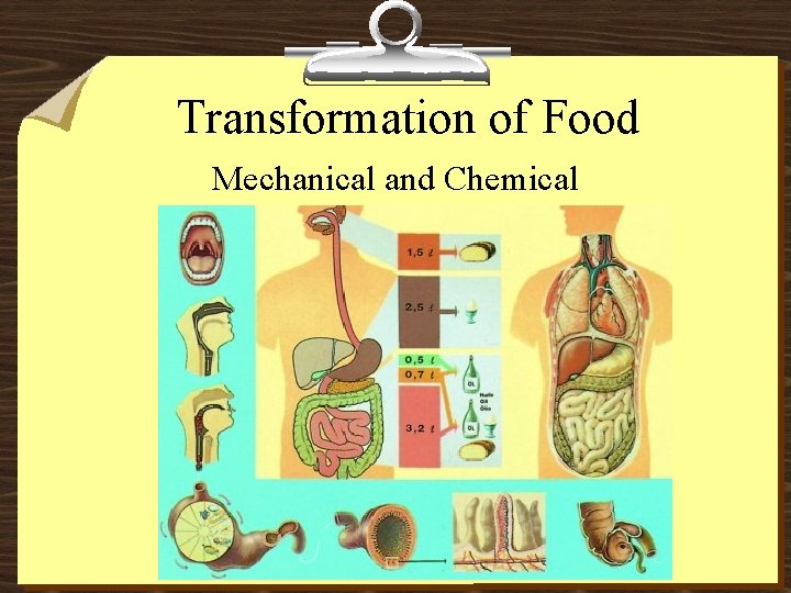 Transformation of Food Mechanical and Chemical 